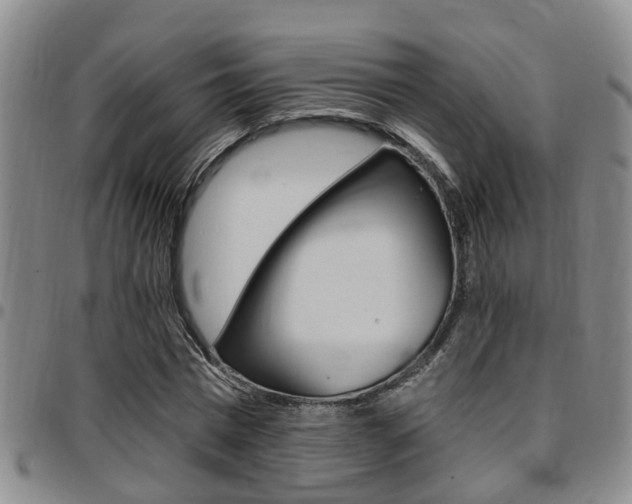 X0000097830777200803140827