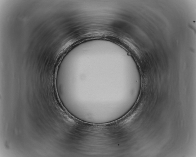 X0000097830778200803140827