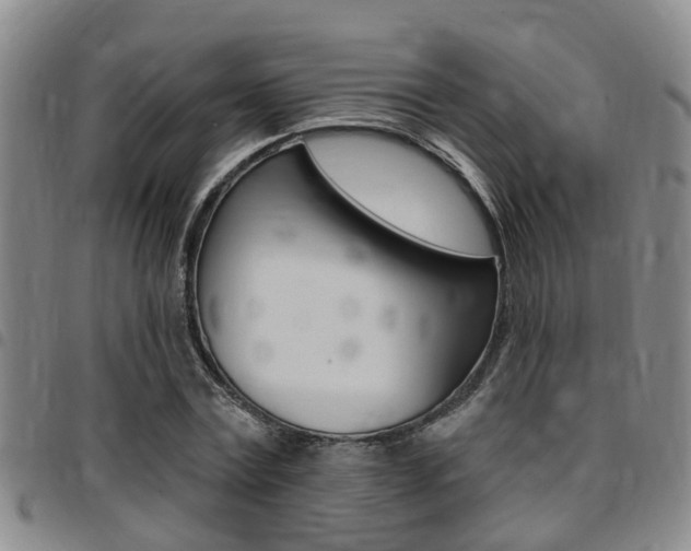 X0000097830779200803140827