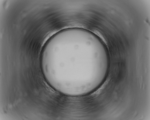 X0000097830781200803140827