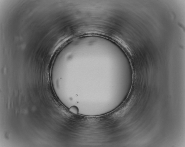 X0000097830782200803140827