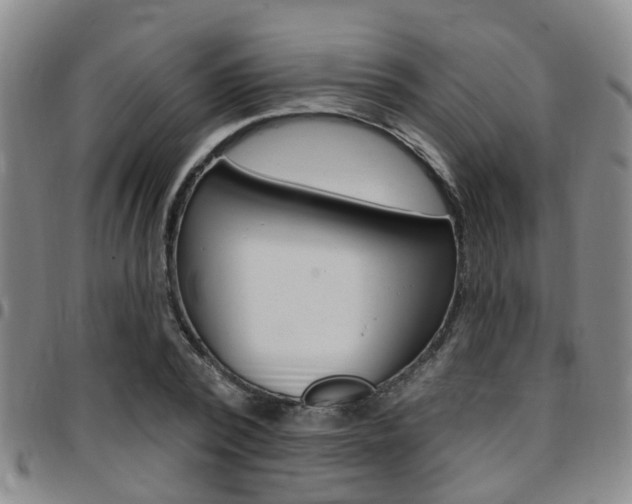 X0000097830784200803140827