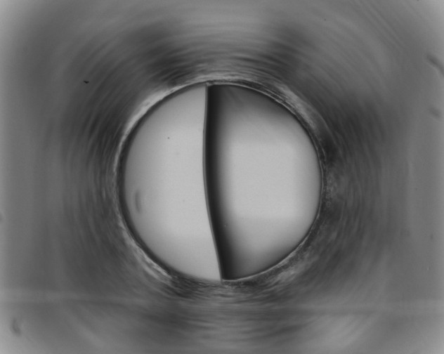 X0000097830787200803140827