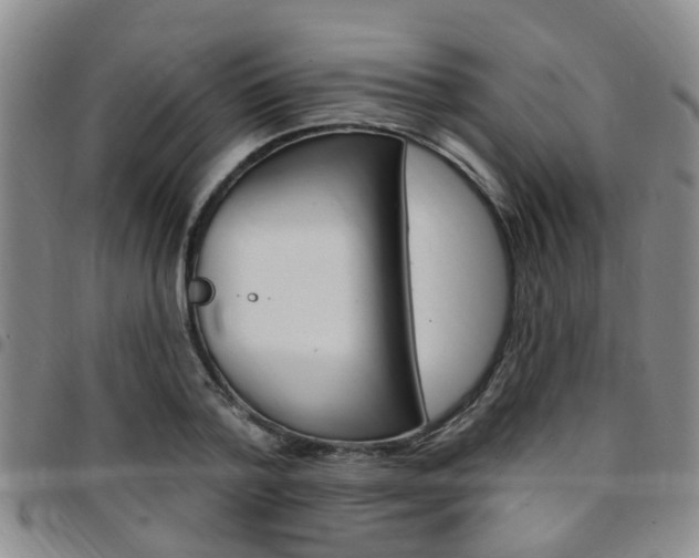 X0000097830788200803140827