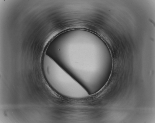 X0000097830789200803140827