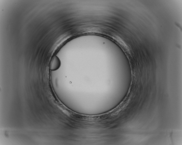 X0000097830790200803140827