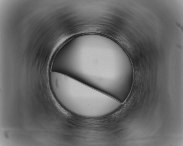 X0000097830792200803140827