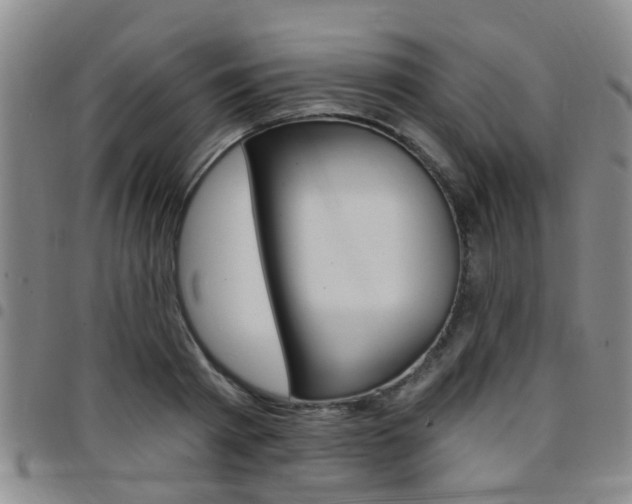 X0000097830793200803140827