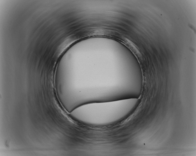 X0000097830794200803140827