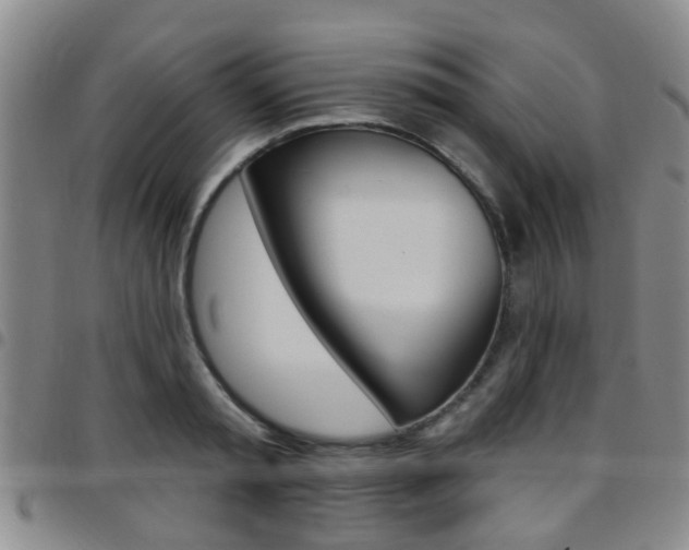 X0000097830797200803140827
