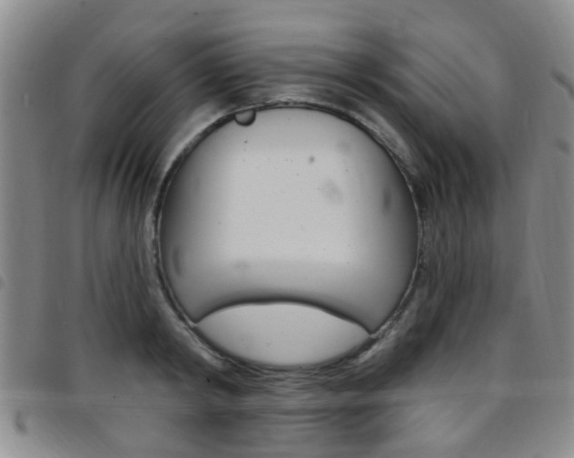 X0000097830798200803140827