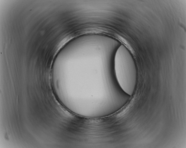 X0000097830802200803140826