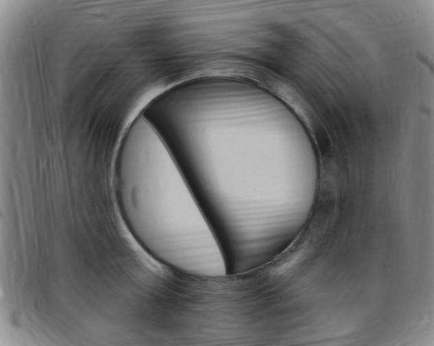 X0000097830803200803140826