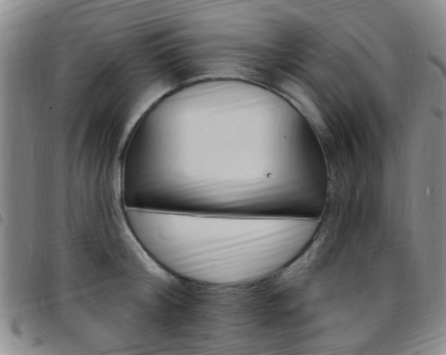 X0000097830804200803140826