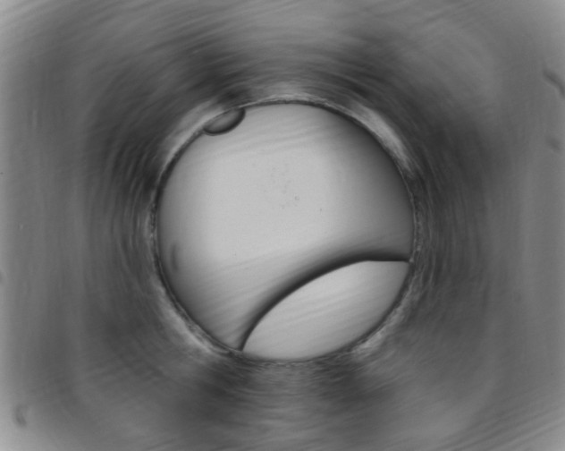 X0000097830806200803140826