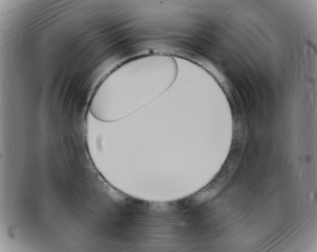 X0000097830807200803140826