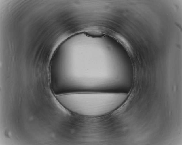 X0000097830808200803140826