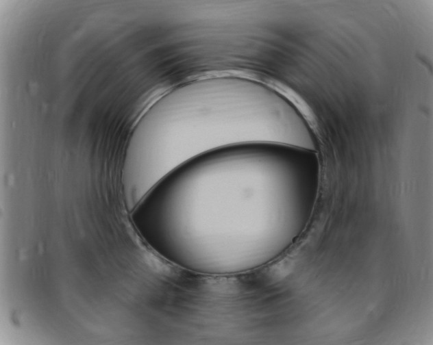 X0000097830809200803140826