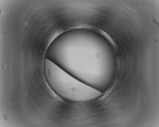 X0000097830810200803140826