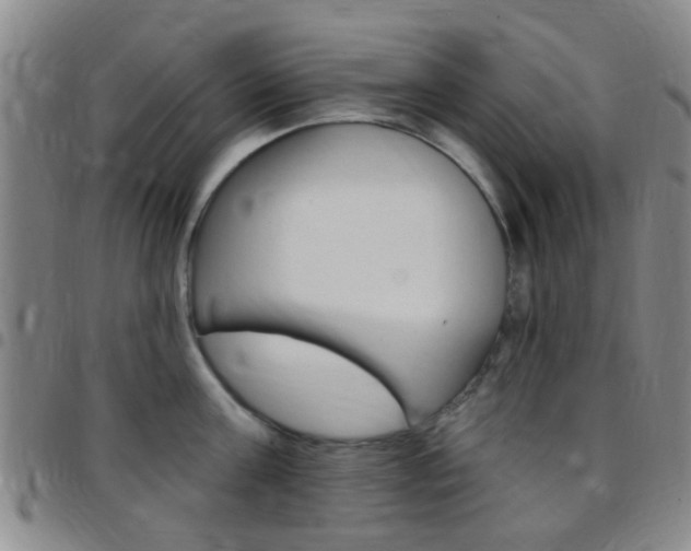 X0000097830811200803140826