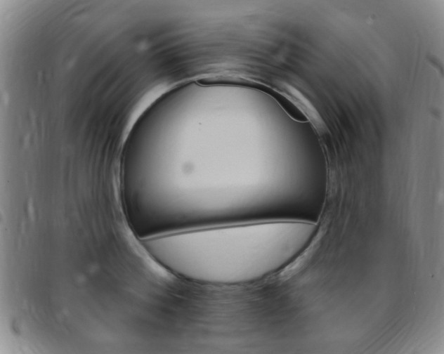 X0000097830812200803140826