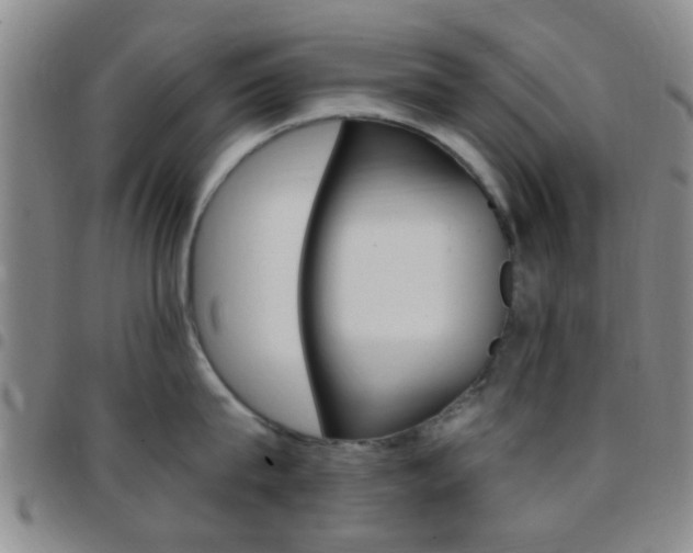 X0000097830815200803140826