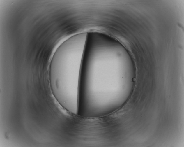 X0000097830816200803140826