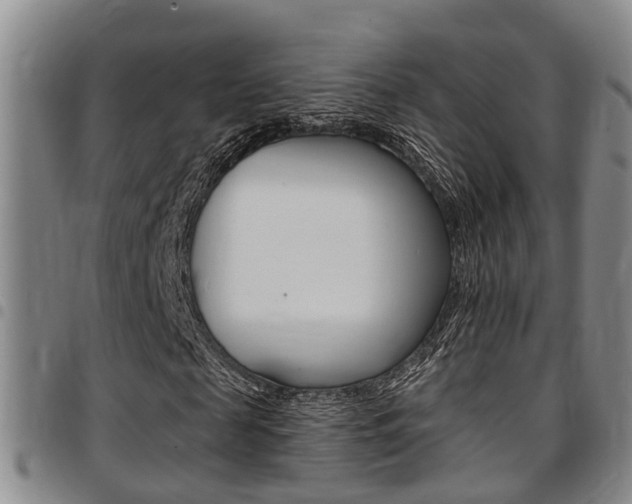 X0000097830817200803140826