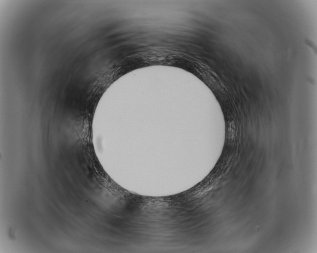 X0000097830820200803140826