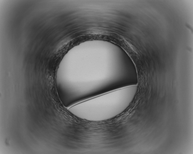 X0000097830821200803140826