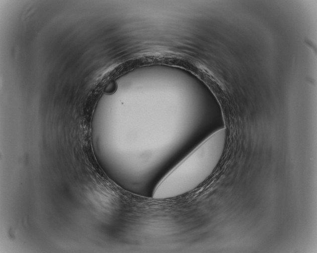 X0000097830822200803140826