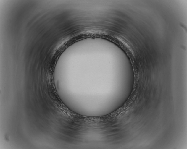X0000097830823200803140826