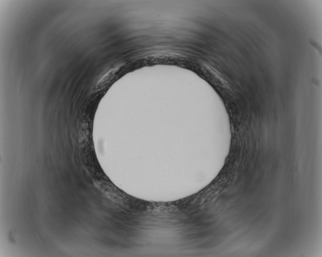 X0000097830824200803140826