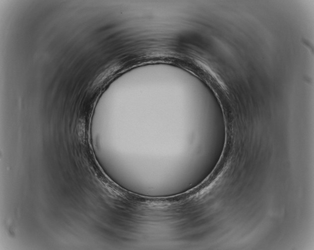X0000097830825200803140826