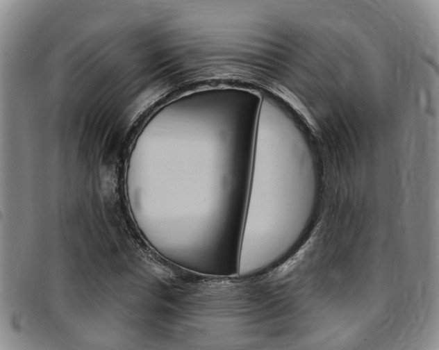 X0000097830826200803140826