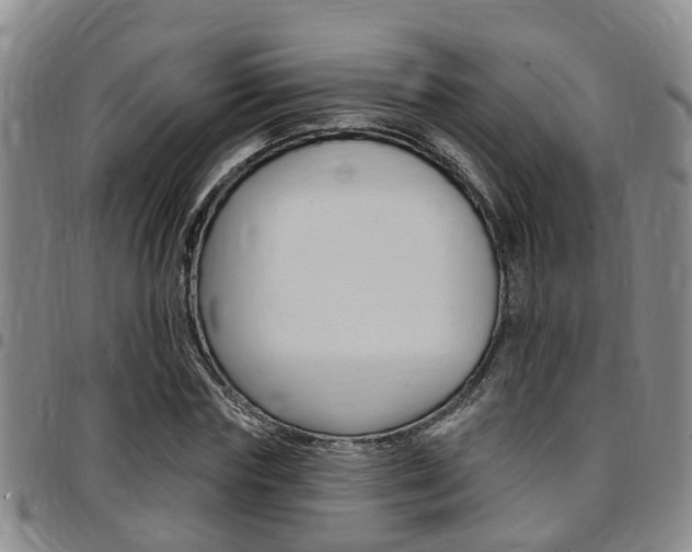 X0000097830827200803140826