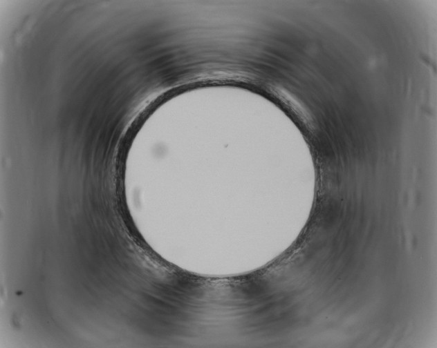 X0000097830828200803140826