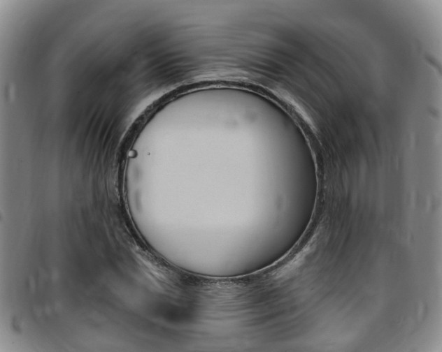 X0000097830830200803140826