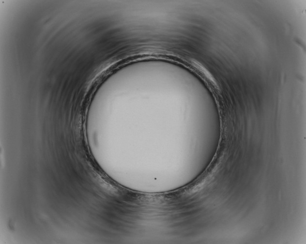 X0000097830831200803140826