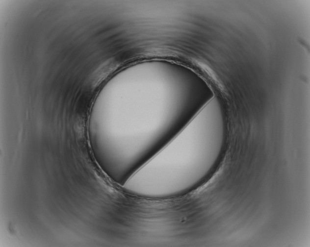 X0000097830833200803140826