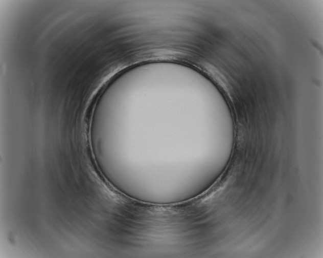 X0000097830835200803140826