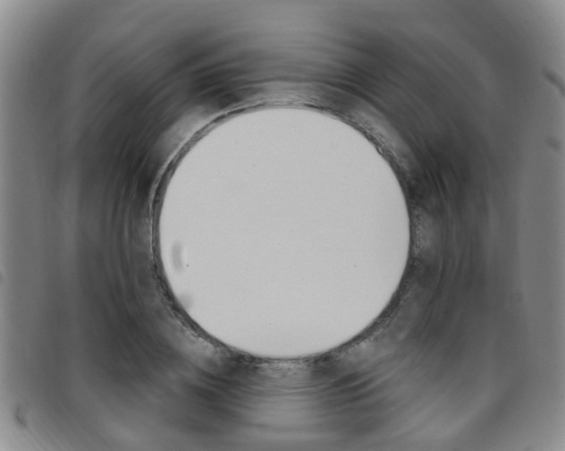 X0000097830836200803140826
