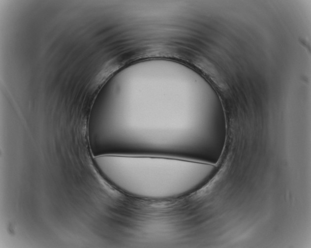 X0000097830841200803140826