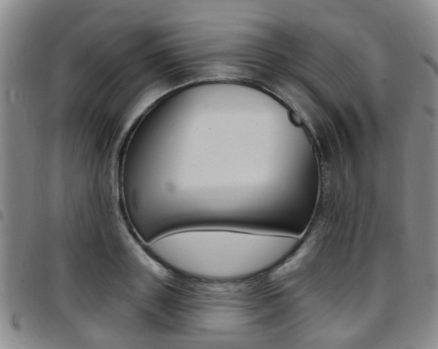 X0000097830843200803140826