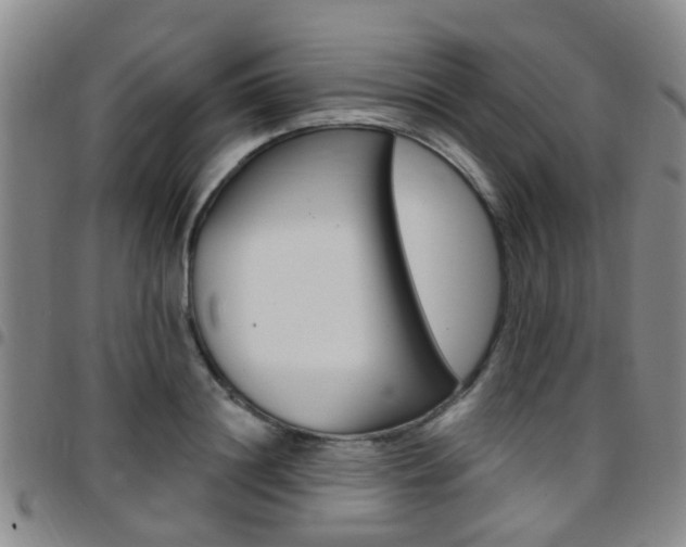 X0000097830844200803140826