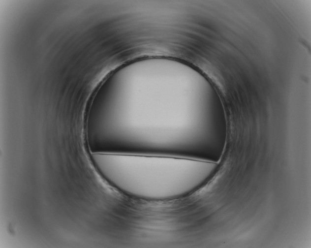 X0000097830845200803140826