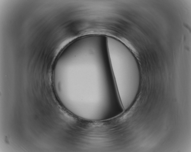 X0000097830846200803140826