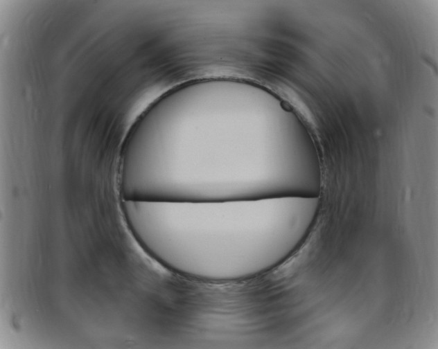 X0000097830847200803140826