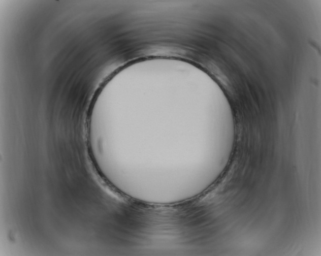X0000097830848200803140826