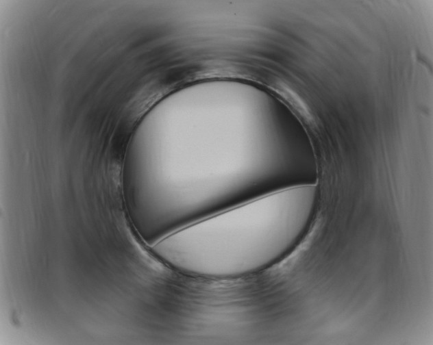 X0000097830849200803140826